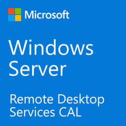 Fujitsu Windows Server 2022 RDS CAL Client Access License (CAL) 1 licenza/e