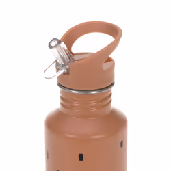 Lässig 1210026354 borraccia Uso quotidiano 500 ml Acciaio inox Beige