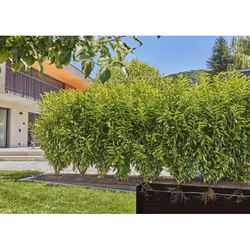 Gardena 13500-20 sistema di irrigazione goccia a goccia - Vista aggiuntiva 4