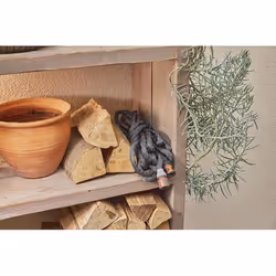 Gardena Liano pompa da giardino 15 m Sul suolo Cloruro di polivinile (PVC), Tessile Nero, Grigio - Vista aggiuntiva 5