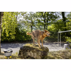 Kärcher 2.644-421.0 accessorio per lavaggio a pressione Spazzola - Vista aggiuntiva 5