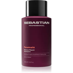 Sebastian Professional Penetraitt 280 ml