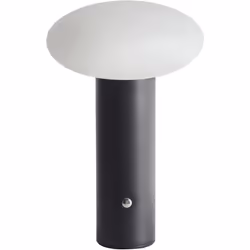 Lampada LED portatile. Illumina i tuoi spazi con eleganza grazie a questa moderna lampada LED. Realizzata in metallo resisten ...
