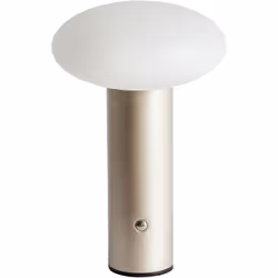 Lampada LED portatile. Illumina i tuoi spazi con eleganza grazie a questa moderna lampada LED. Realizzata in metallo resisten ...