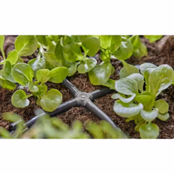 Gardena 13214-20 raccordo e adattatore per tubo Connettore per tubo Plastica Nero 10 pz - Vista aggiuntiva 4