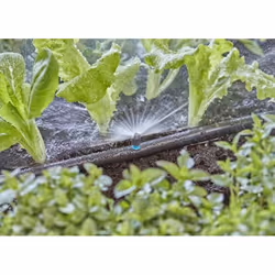 Gardena 13321-20 parte e accessorio per sistema di irrigazione Ugello spray - Vista aggiuntiva 5