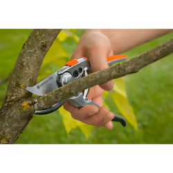 Gardena Premium BP 50 cesoia da potatura Bypass Nero, Arancione