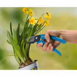 Gardena Classic cesoia da potatura Bypass Blu