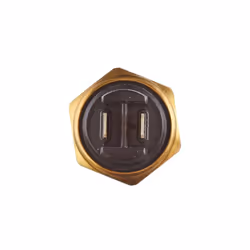 HELLA 6ZT 007 800-011 Termocontatto, Ventola radiatore M 22 x 1,5 12