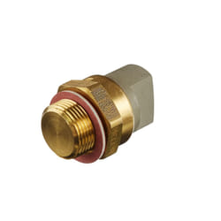 HELLA 6ZT 007 802-021 Termocontatto, Ventola radiatore M 22 x 1,5 12 VOLKSWAGEN: GOLF 3, Passat B5 Variant, SKODA: Felicia 1 Pickup, Felicia Cube Van