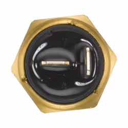 HELLA 6PT 009 309-531 Sensore Temperatura Refrigerante FIAT: Ducato II Camion pianale/Telaio, PEUGEOT: Boxer Camion pianale/Telaio