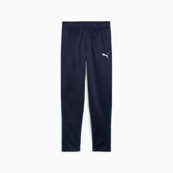 PUMA teamGOAL Maschio Blu Poliestere