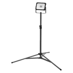 LEDVANCE 4099854282775 proiettore Nero 20 W LED