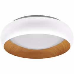 Plafoniere a LED con anello in metallo. Caratteristiche del prodotto: Grado di protezione: IP20. Durata: fino a 30.000 ore. V ...