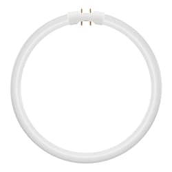 Bailey Electric & Electronics 146565 lampada LED 21,5 W