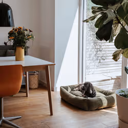 Hunter 204930 letto per cani e gatti Cuccetta - Vista aggiuntiva 6