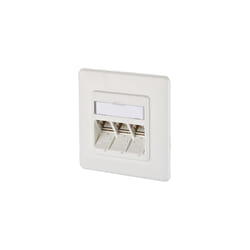 BTR NETCOM 1309131002-E presa energia RJ-45 Bianco