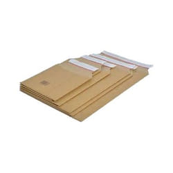 Fellowes 7374101 busta Marrone