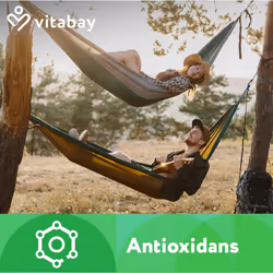 Vitabay capsule di curcuma ad alto dosaggio - VEGAN 240 compresse 500mg con pepe 90 pz Capsule - Vista aggiuntiva 4