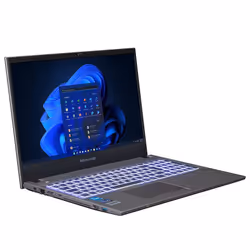bluechip TRAVELline B15W55 i9-1215U 15.6" Full HD 8GB 500 GB SSD Win11 Pro Grigio