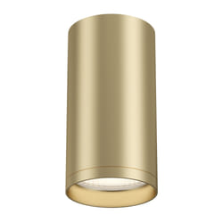 Maytoni C052CL-01MG illuminazione da soffitto GU10