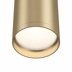 Maytoni C052CL-01MG illuminazione da soffitto GU10