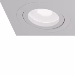 Maytoni DL024-2-03W illuminazione da soffitto GU10
