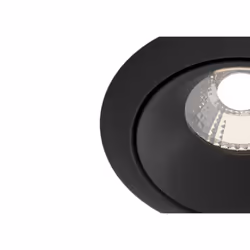 Maytoni DL031-2-L12B illuminazione da soffitto LED F