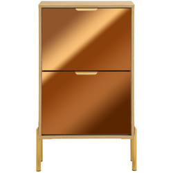 Scarpiera con 2 ante in vetro Scarpiera con 4 ripiani Scarpiera portascarpe Colore d'oro 55x24x90cm FSR181-G - Sobuy