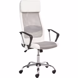 Sedia da ufficio con schienale regolabile. Apri le porte all'eleganza e alla funzionalità, al lavoro o in casa, con questa se ...