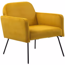 Moderna poltrona imbottita. Scegli lo stile retrò e il massimo comfort per il tuo soggiorno. Questa poltrona ha una struttura ...