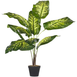 Beliani - Accessorio Decorativo per Interni Pianta Finta in Materiale Sintetico 122 cm Dieffenbachia