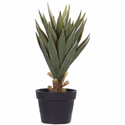 Finta pianta decorativa. Una decorazione per una scrivania o una credenza in stile boho. Scegli questa aloe vera artificiale ...