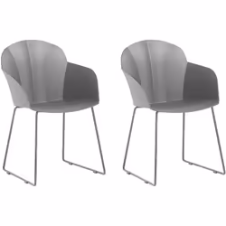 Set di 2 pratiche ed eleganti sedie da pranzo. Aggiungi comfort e praticità al tuo interno con questo set di 2 sedie da pranz ...