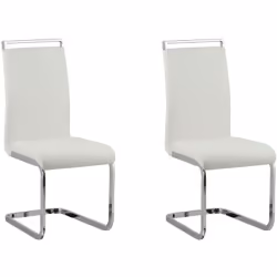 Set di sedie a sbalzo. Questo set di 2 sedie da pranzo saprà integrarsi alla perfezione in interni dal design moderno o retrò ...