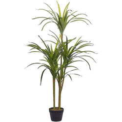 Beliani - Pianta Artificiale in Plastica per Uso Interno 147 cm Dracaena Anita