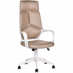 Poltrona da ufficio con schienale regolabile. Sedia ergonomica dal design contemporaneo, un complemento elegante e confortevo ...