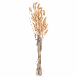 Fiori secchi decorativi. Opta per i fiori che rimarranno intatti nel tempo. Questo bellissimo bouquet, non richiede alcuna cu ...