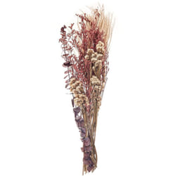 Mazzo di fiori secchi decorativi rosa 55 cm Araba