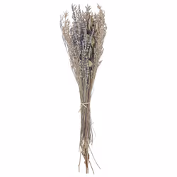 Fiori secchi decorativi. Utilizza questo mazzo di fiori per creare un accento spettacolare nel tuo soggiorno o nella tua came ...