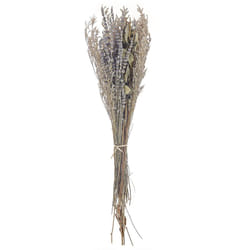 Beliani - Mazzo di fiori secchi decorativi viola e verde 70 cm Nawarra