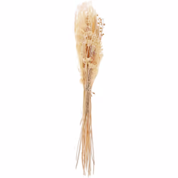Fiori secchi decorativi. Questo bouquet di fiori secchi vi permetterà di godere della loro bellezza tutto l'anno. Composta da ...