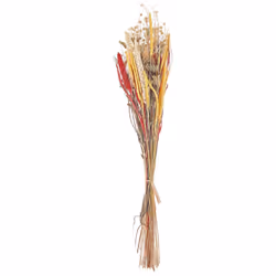 Fiori secchi decorativi. Rendi il tuo tavolo da pranzo più elegante con questo bouquet. I fiori secchi sono un'ottima alterna ...