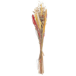 Beliani - Mazzo di fiori secchi decorativi 65 cm rosso e giallo Pampeluna