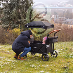 FableKids 4252023107303 carrozzina Nero