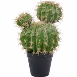 Cactus decorativo. Porta un tocco di natura nel tuo spazio con questo cactus artificiale esotico e realistico. Le sue tonalit ...
