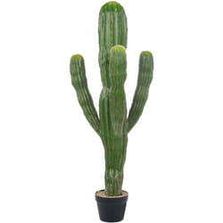 Beliani - Pianta artificiale in vaso per uso interno Decorazione in plastica 115 cm con vaso nero Marocco Cereus