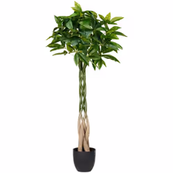 Albero finto decorativo. Aggiungi un tocco tropicale al tuo ambiente con questo splendido albero artificiale di pachira, capa ...