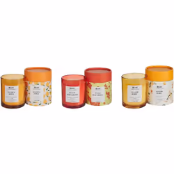 Set di 3 candele aromatiche . Sperimenta il calore di questo trio di squisite candele in cera di soia. Racchiuse in un elegan ...