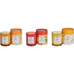 Set di 3 candele profumate 100% cera di soia stoppino di cotone vetro fragranza floreale erbe orientali ribes rosso/bacche gialle/mela dorata